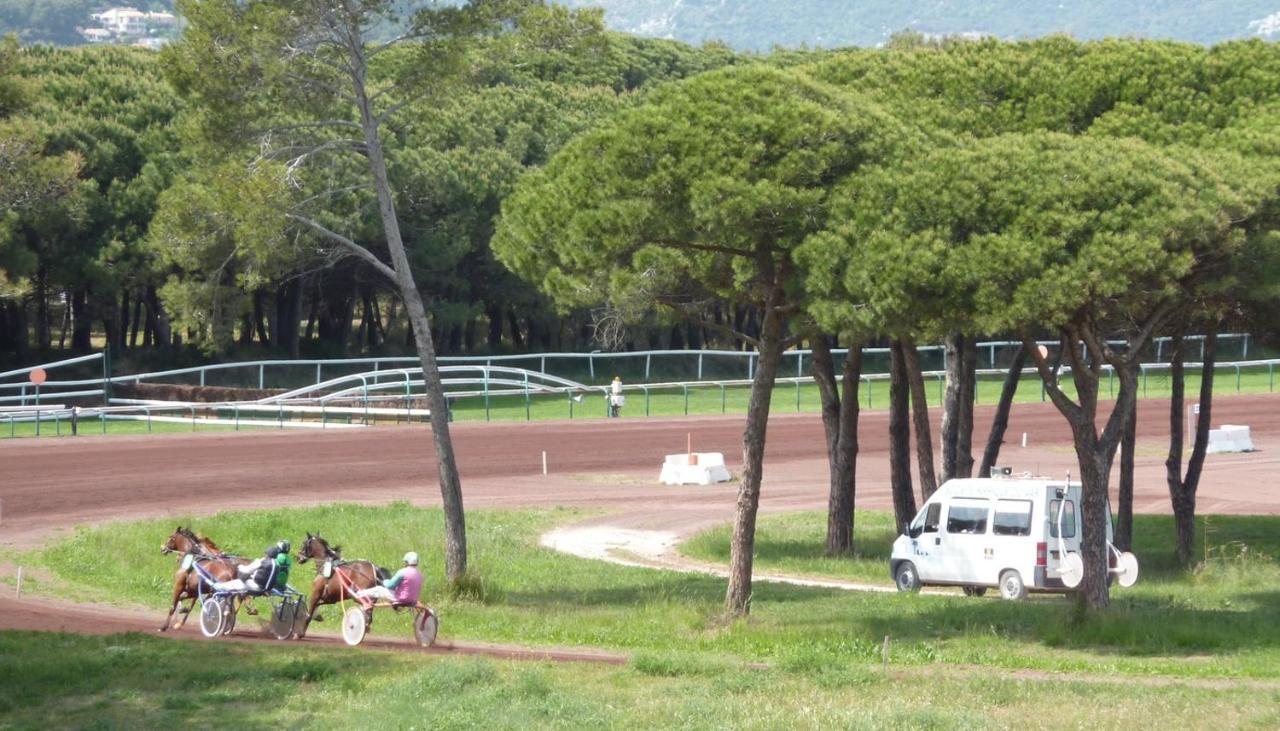 Studio Residence Bona, Vue Hippodrome Et Mer, Clim Hyères Exteriör bild
