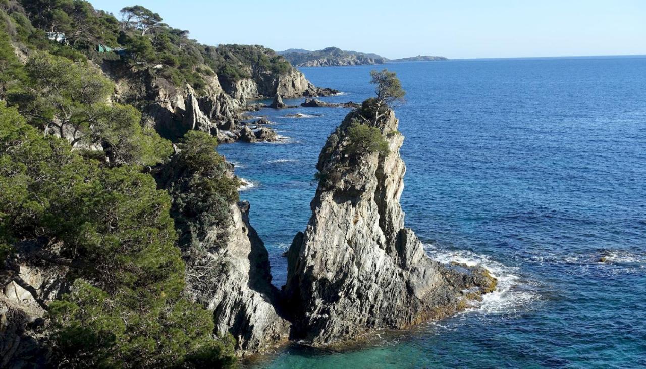 Studio Residence Bona, Vue Hippodrome Et Mer, Clim Hyères Exteriör bild