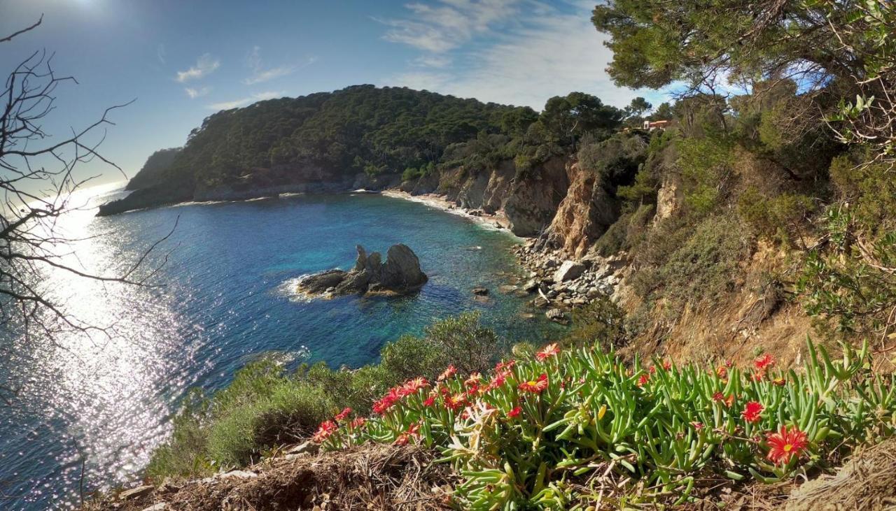 Studio Residence Bona, Vue Hippodrome Et Mer, Clim Hyères Exteriör bild